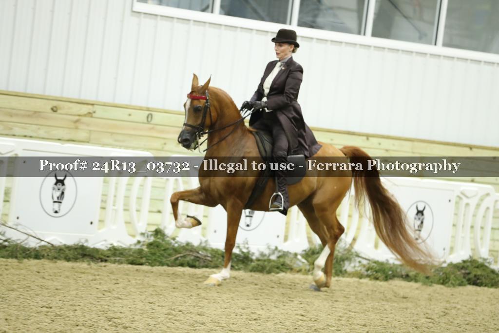 Proof Number 24R13_03732