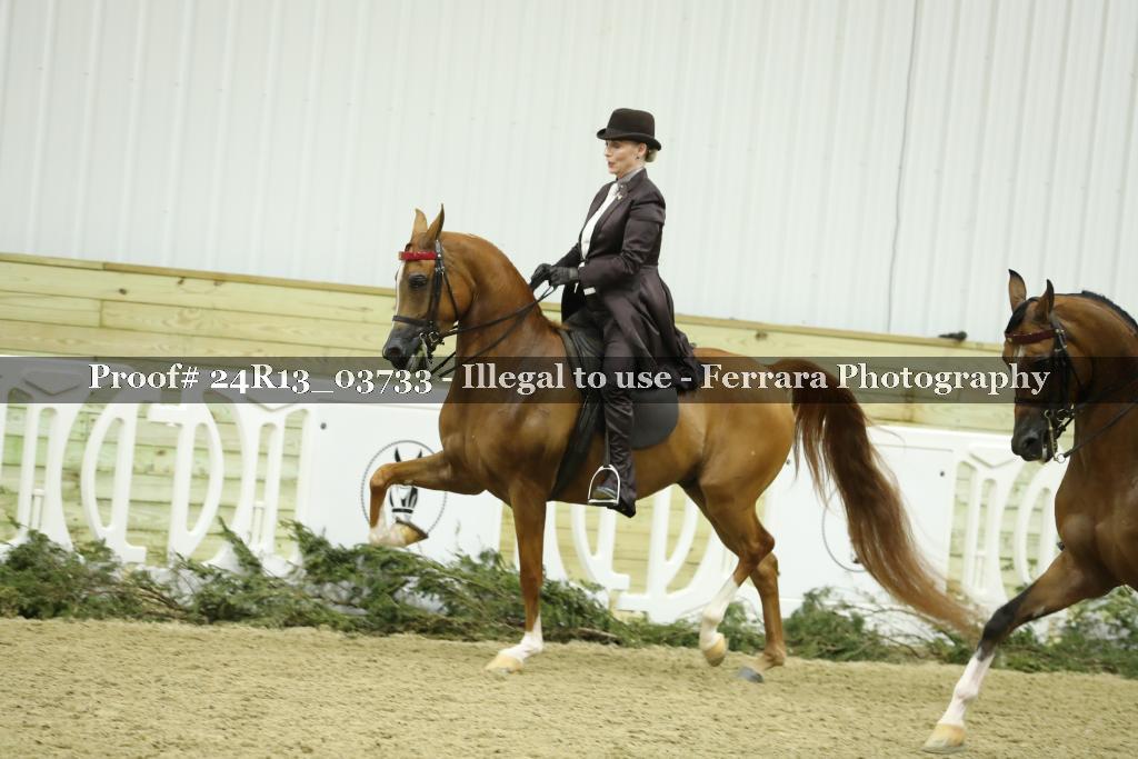 Proof Number 24R13_03733