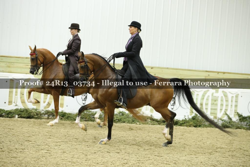 Proof Number 24R13_03734