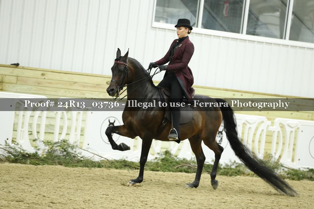Proof Number 24R13_03736