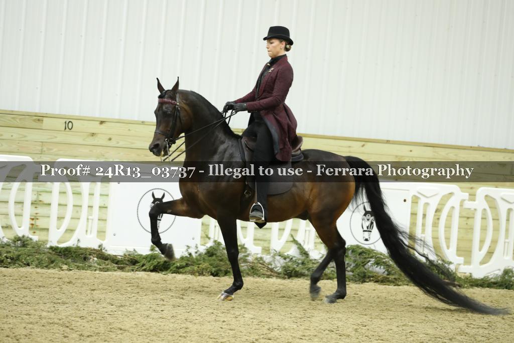 Proof Number 24R13_03737