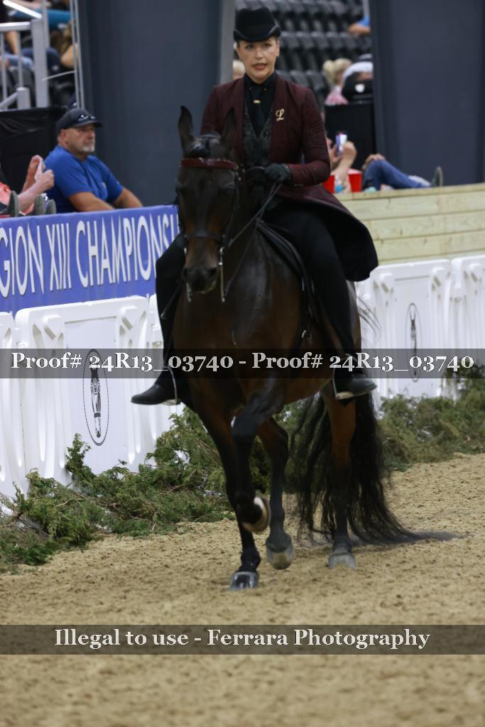 Proof Number 24R13_03740