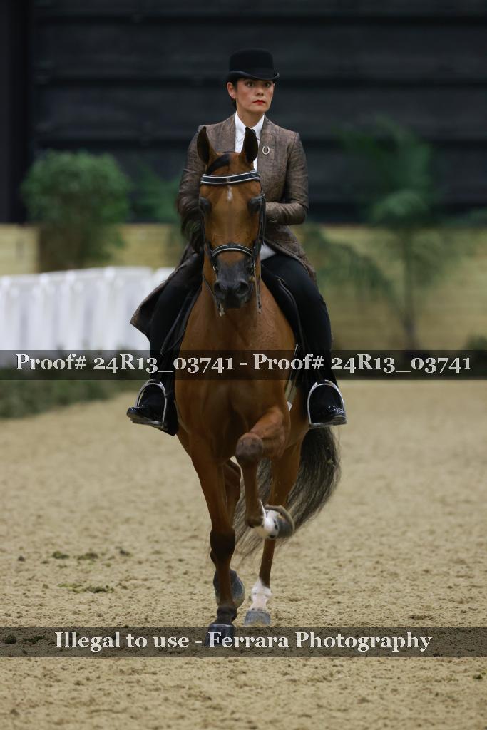 Proof Number 24R13_03741