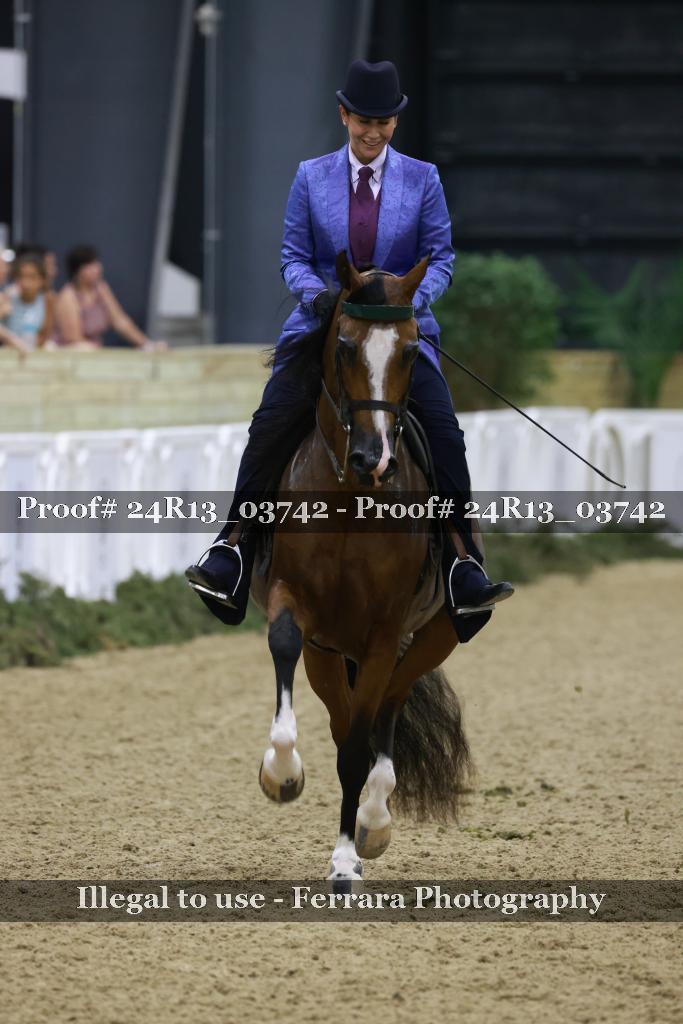 Proof Number 24R13_03742