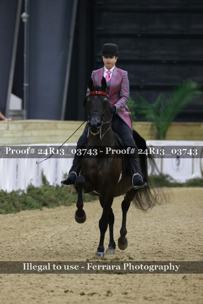 Proof Number 24R13_03743