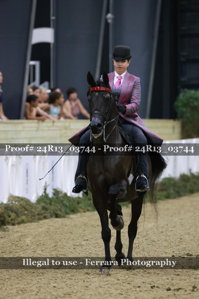 Proof Number 24R13_03744