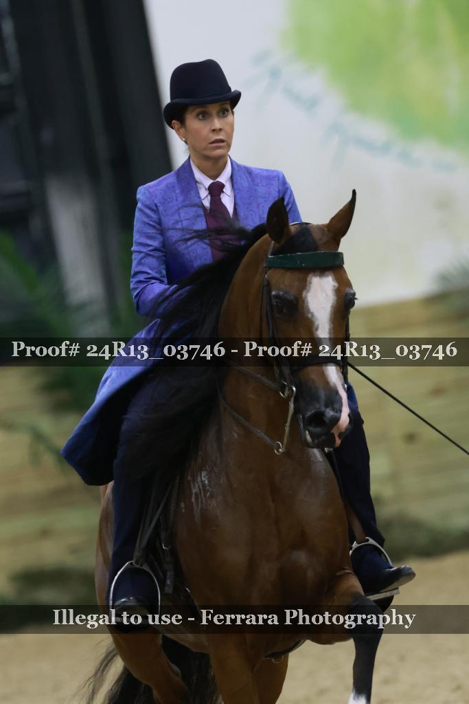 Proof Number 24R13_03746