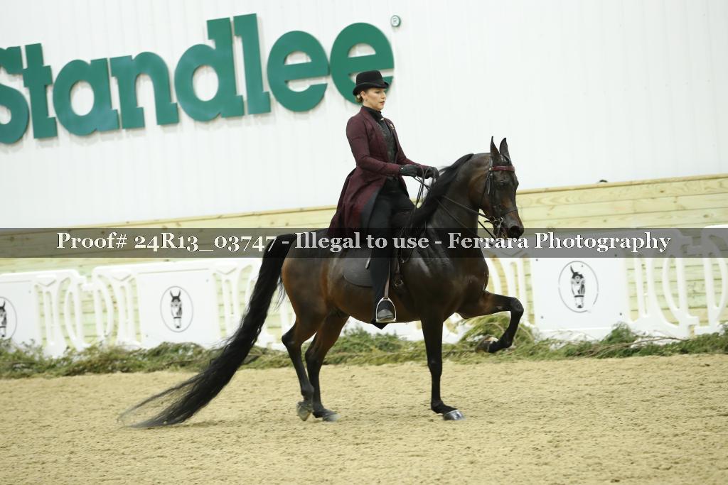 Proof Number 24R13_03747
