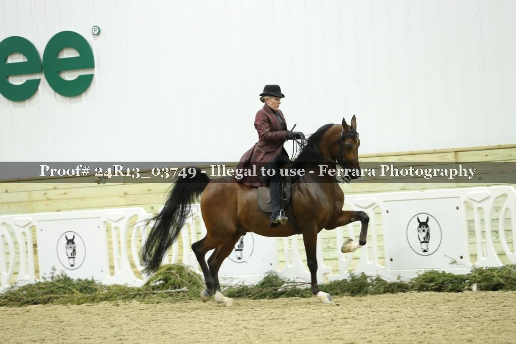 Proof Number 24R13_03749
