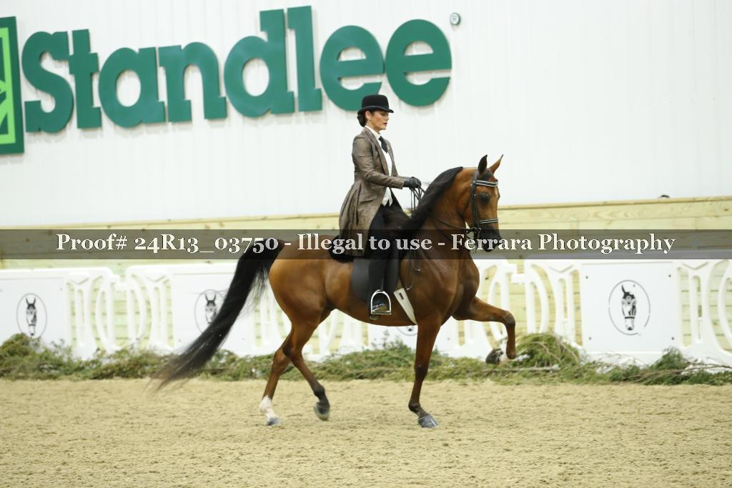 Proof Number 24R13_03750