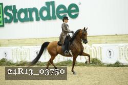 24R13_03750 thumbnail