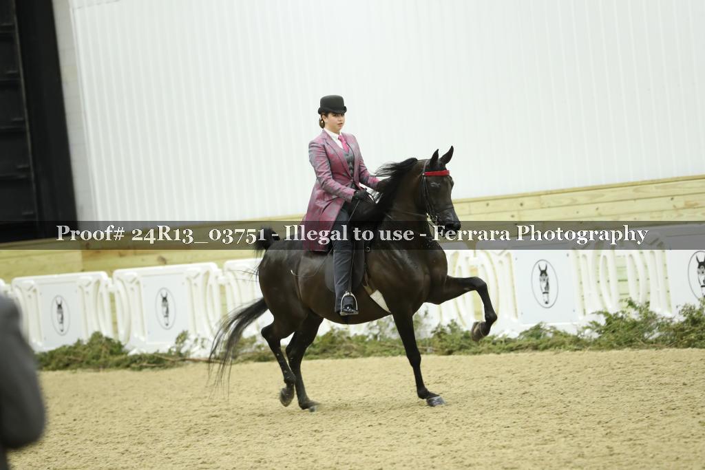 Proof Number 24R13_03751