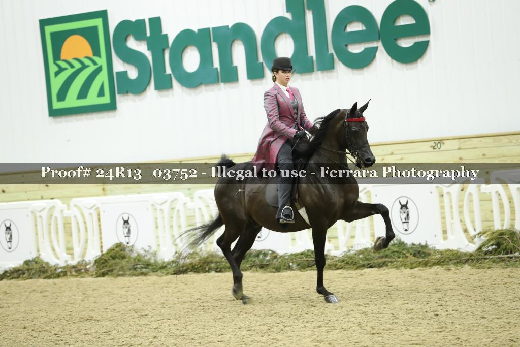 Proof Number 24R13_03752