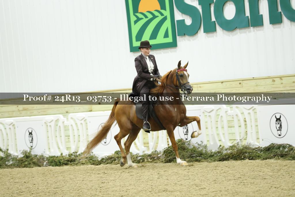 Proof Number 24R13_03753