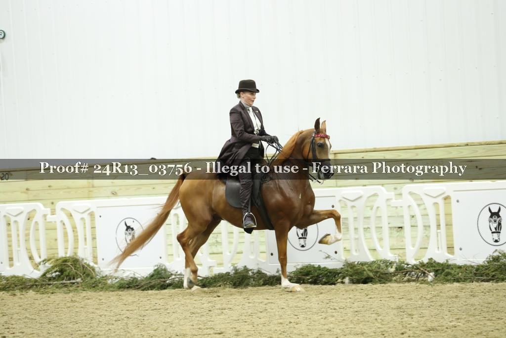 Proof Number 24R13_03756