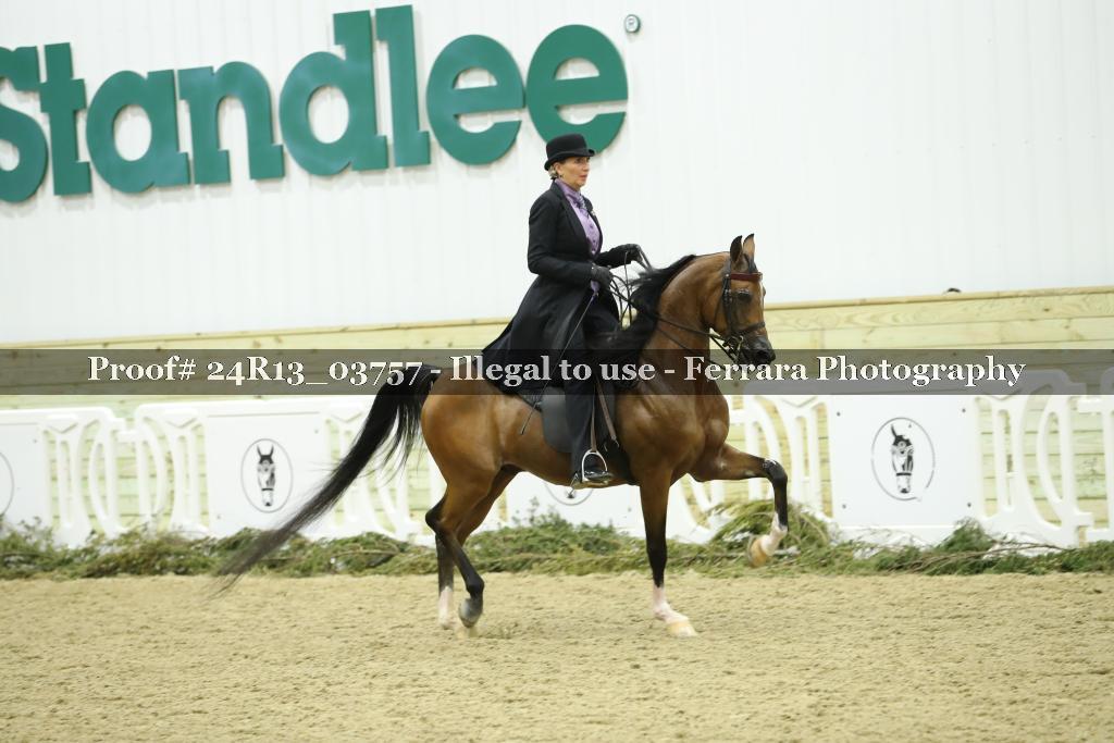 Proof Number 24R13_03757