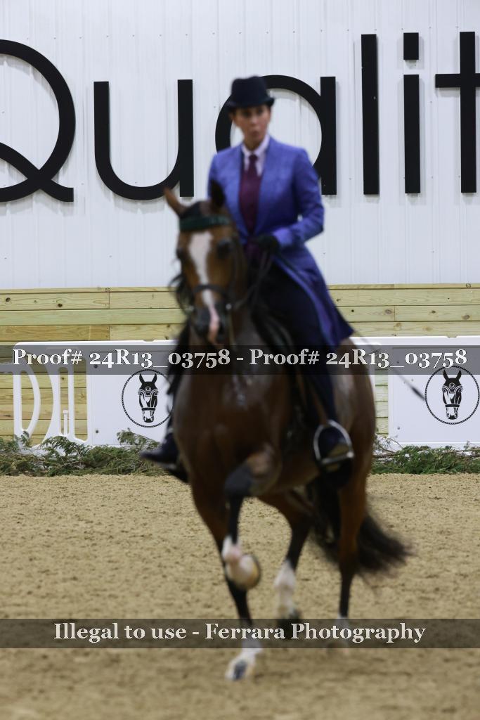 Proof Number 24R13_03758