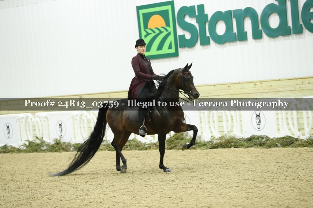 Proof Number 24R13_03759