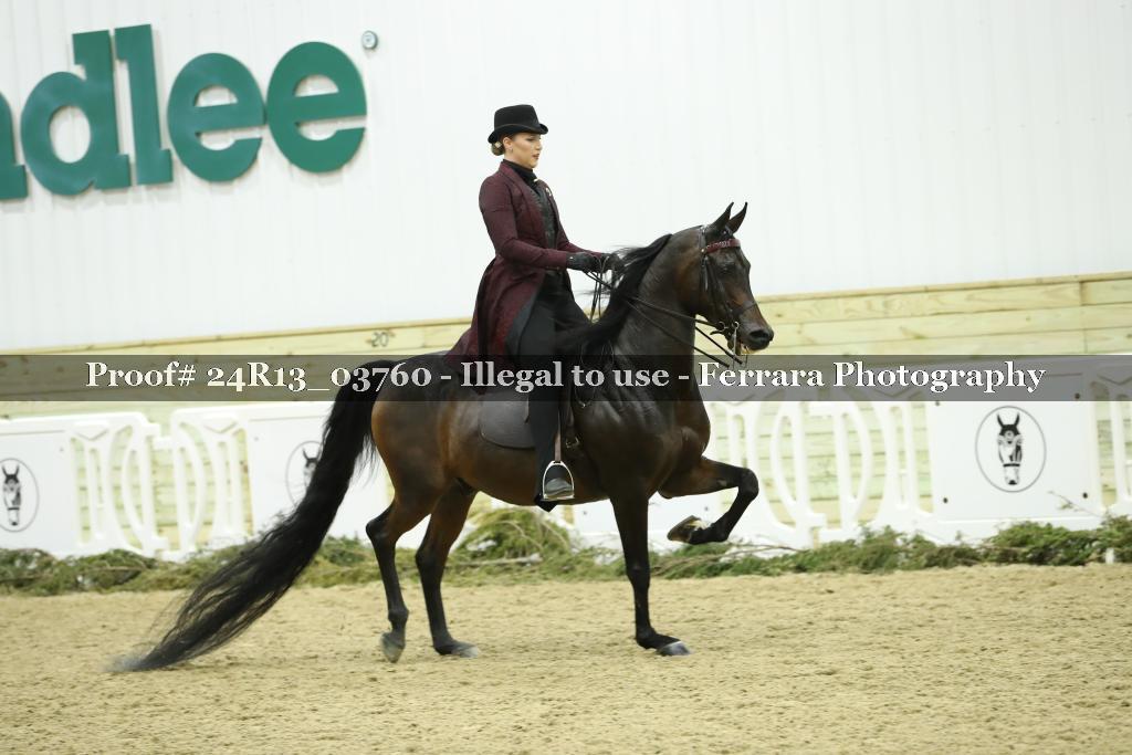 Proof Number 24R13_03760