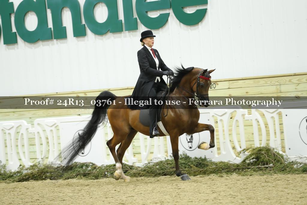 Proof Number 24R13_03761
