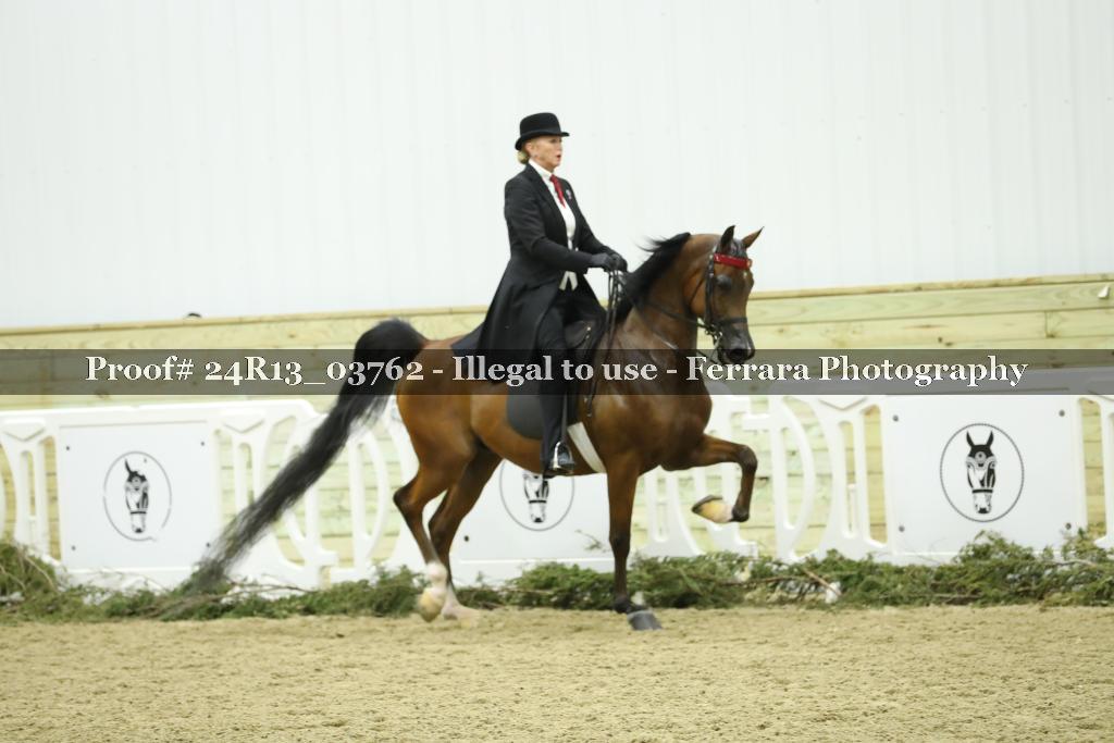Proof Number 24R13_03762