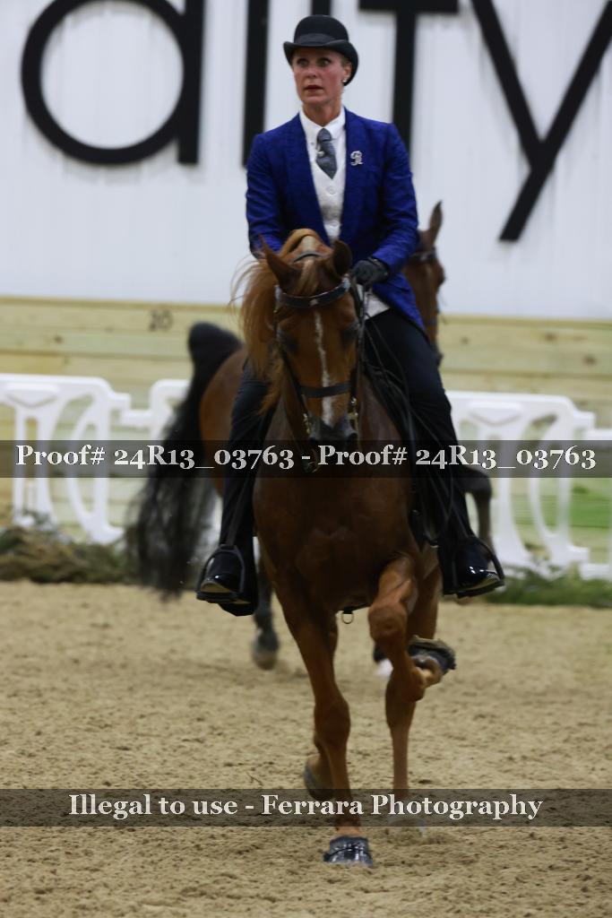 Proof Number 24R13_03763