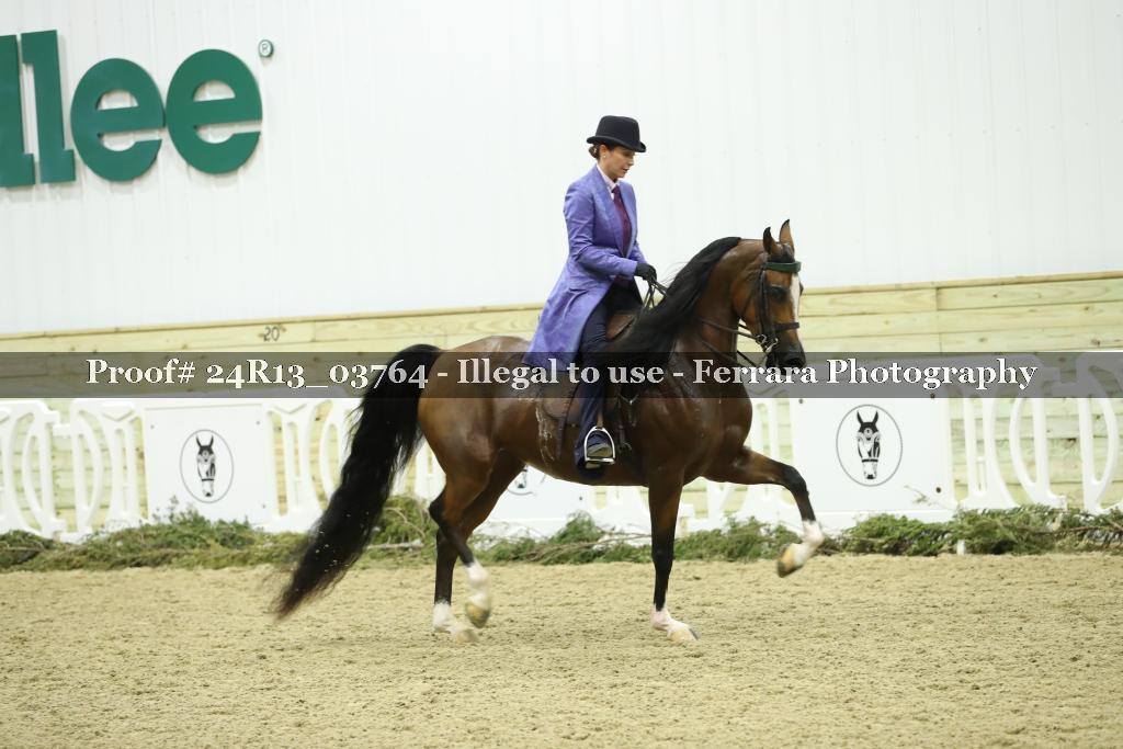 Proof Number 24R13_03764
