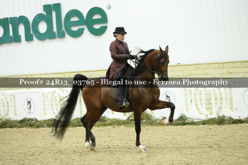 Proof Number 24R13_03765