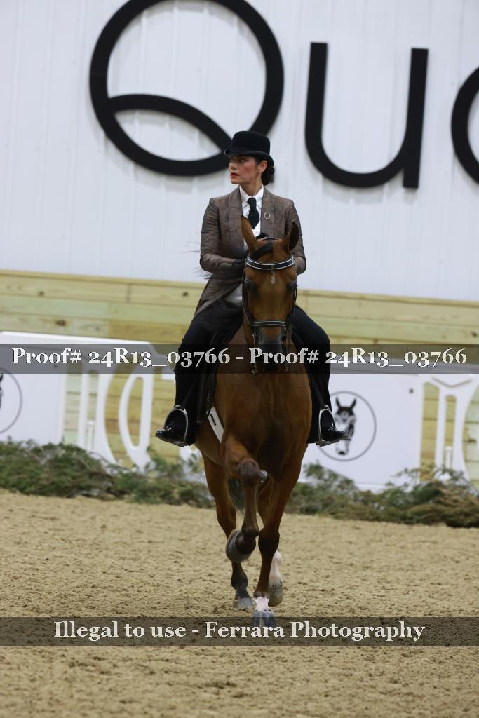 Proof Number 24R13_03766