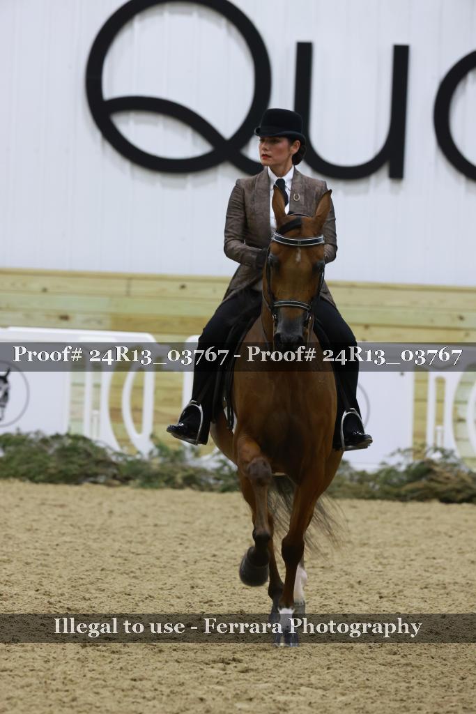 Proof Number 24R13_03767