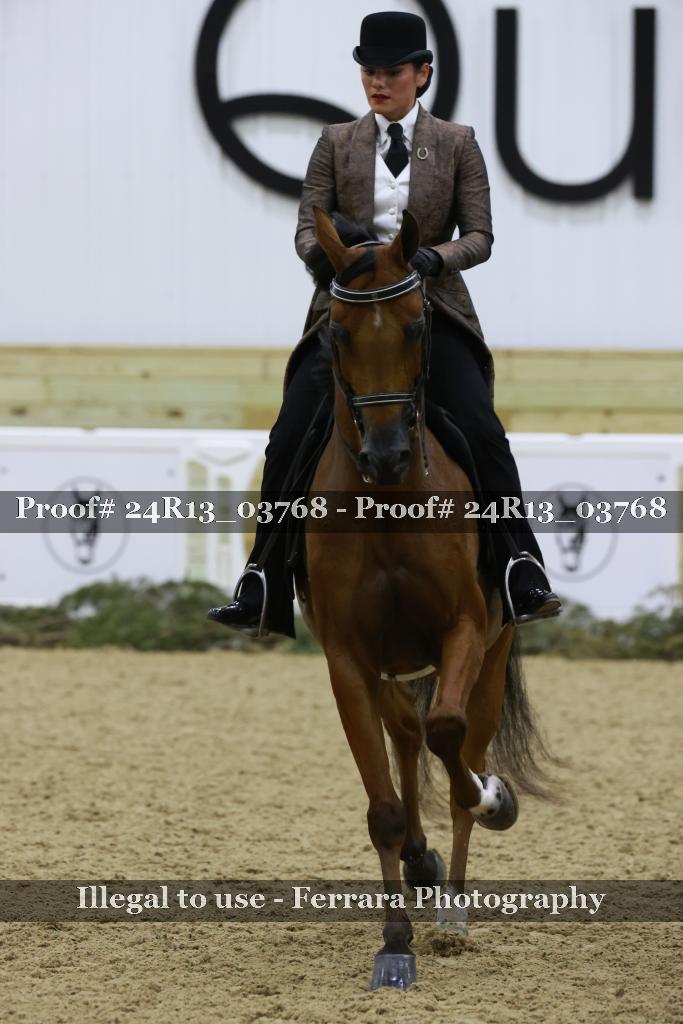 Proof Number 24R13_03768