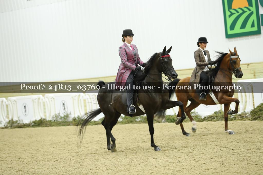 Proof Number 24R13_03769