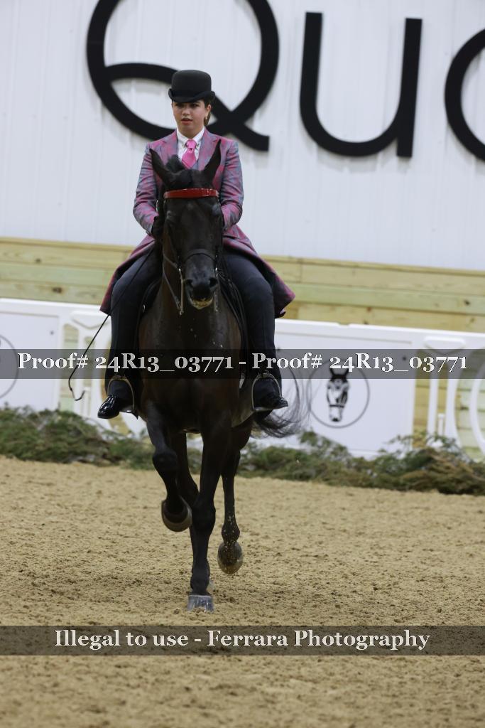 Proof Number 24R13_03771