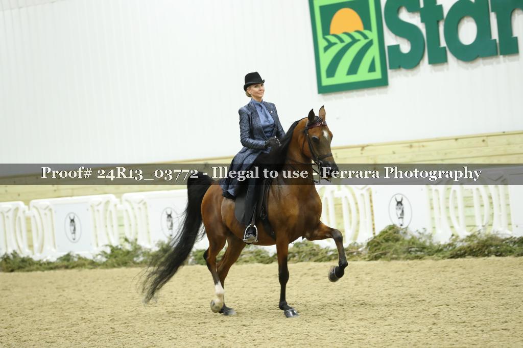 Proof Number 24R13_03772