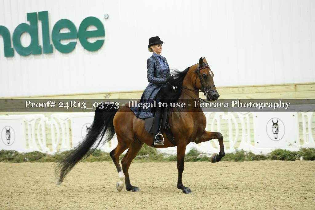 Proof Number 24R13_03773