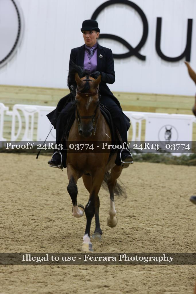 Proof Number 24R13_03774