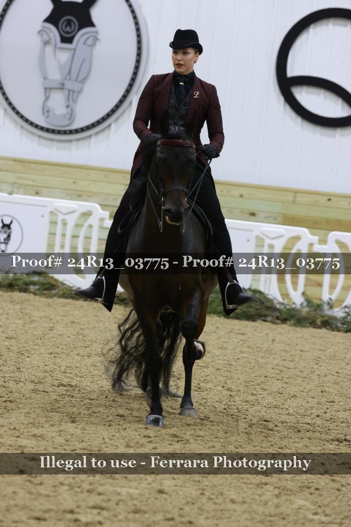 Proof Number 24R13_03775