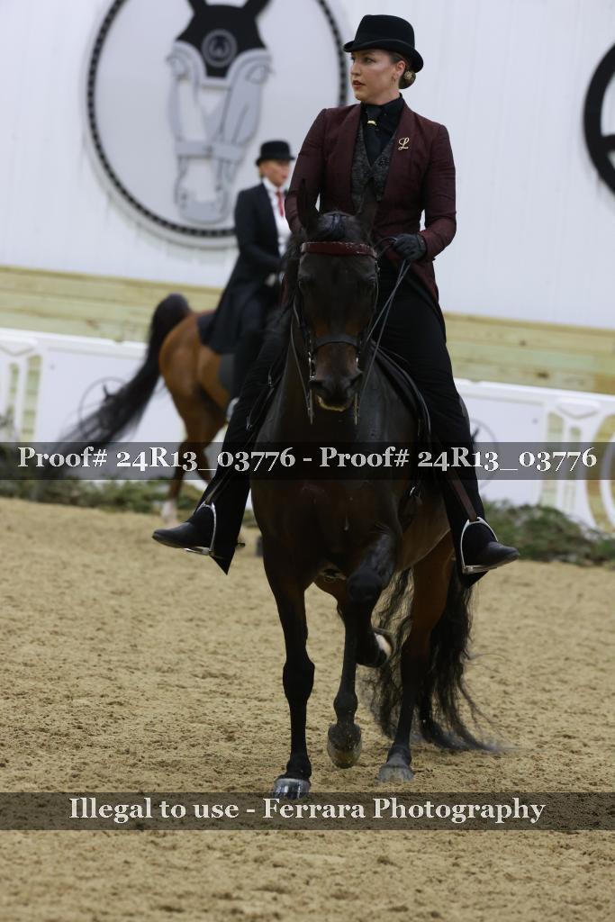 Proof Number 24R13_03776