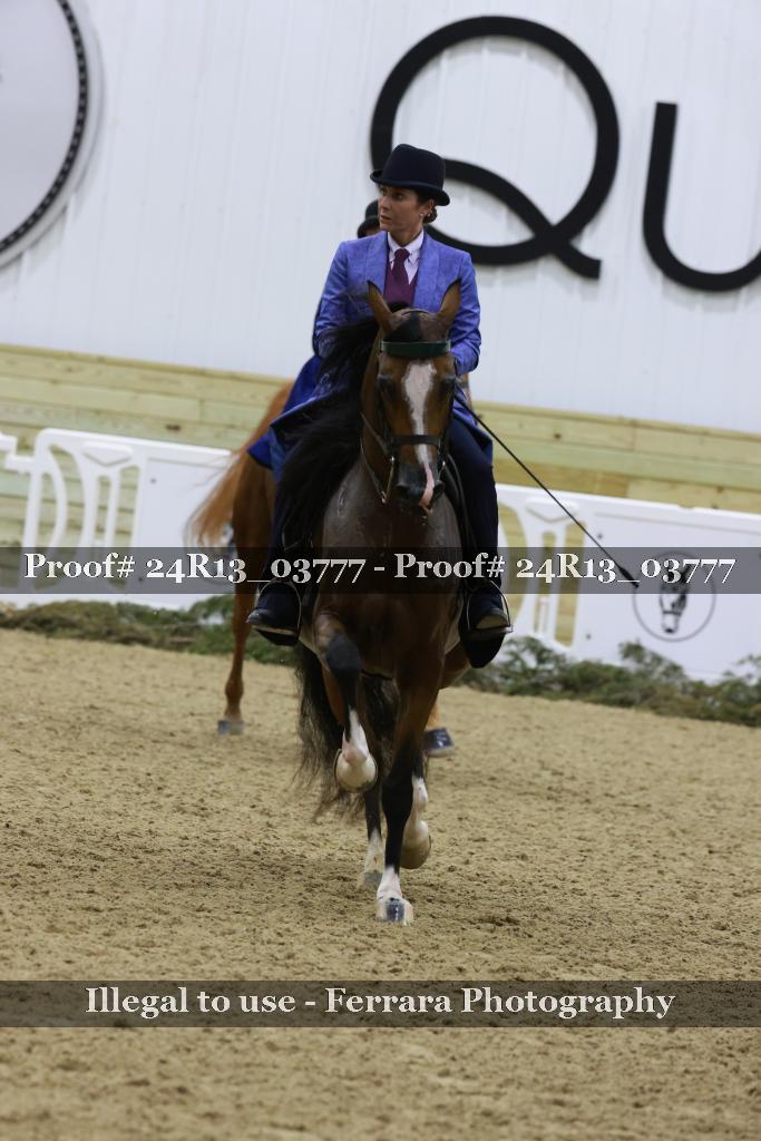 Proof Number 24R13_03777