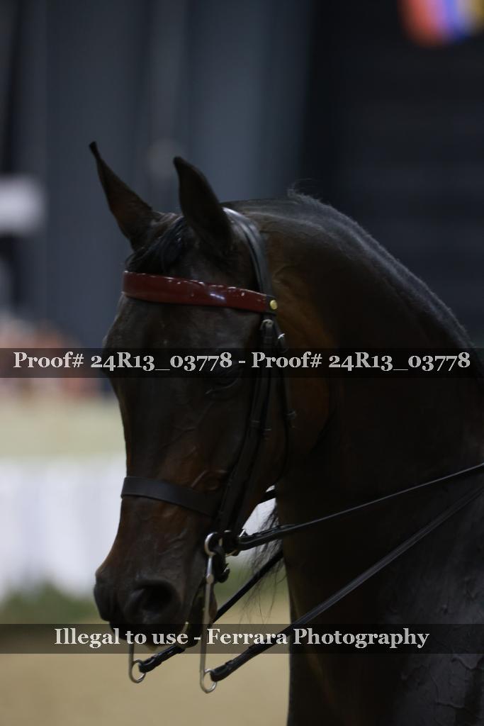 Proof Number 24R13_03778