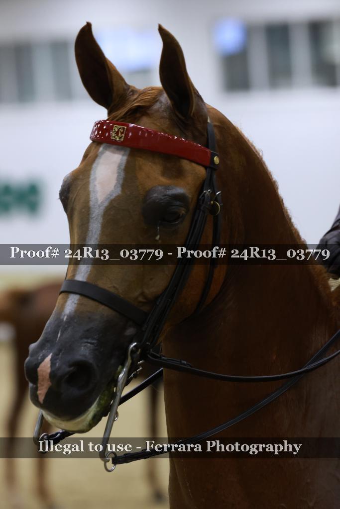 Proof Number 24R13_03779