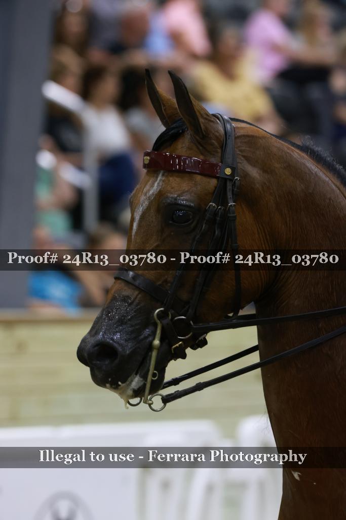 Proof Number 24R13_03780
