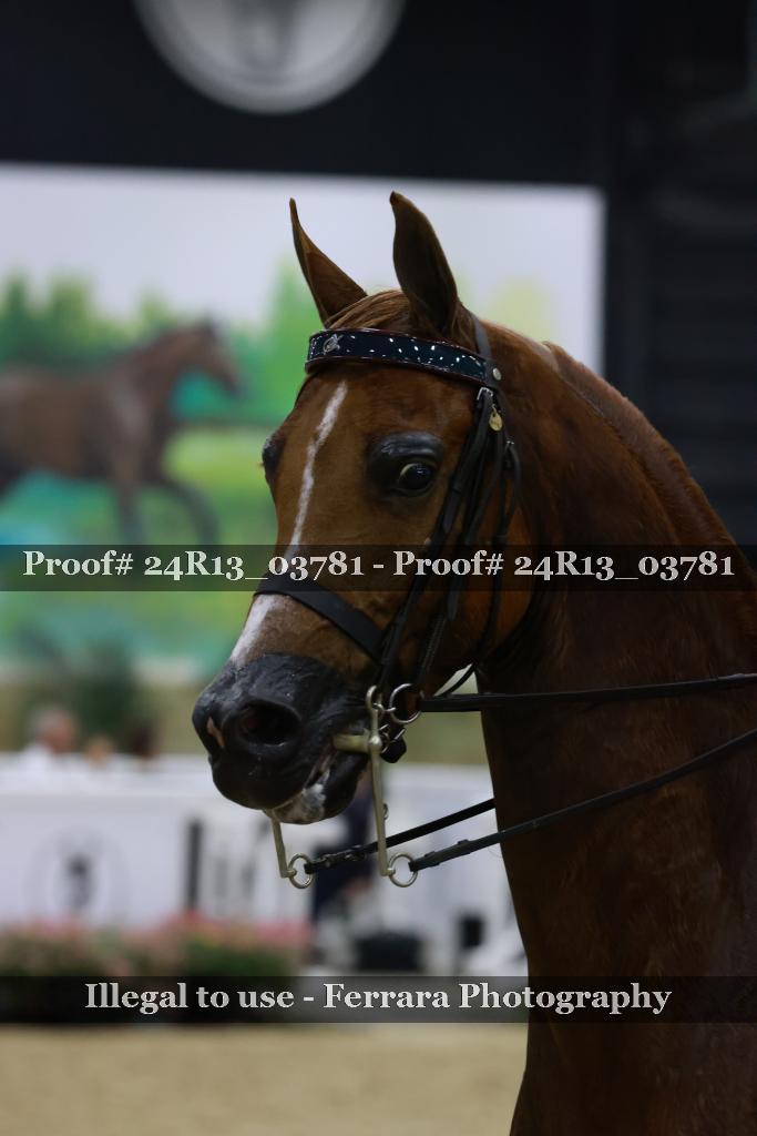 Proof Number 24R13_03781