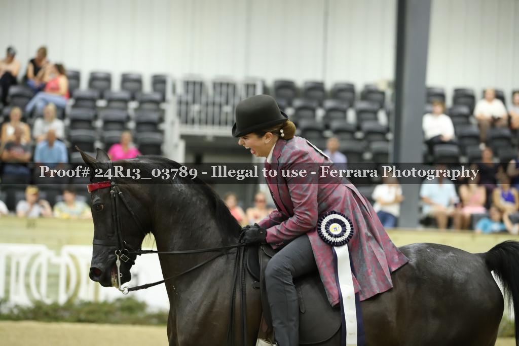 Proof Number 24R13_03789