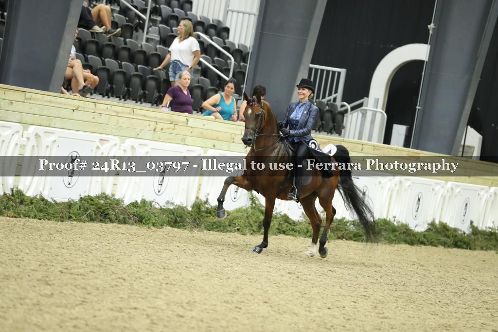 Proof Number 24R13_03797