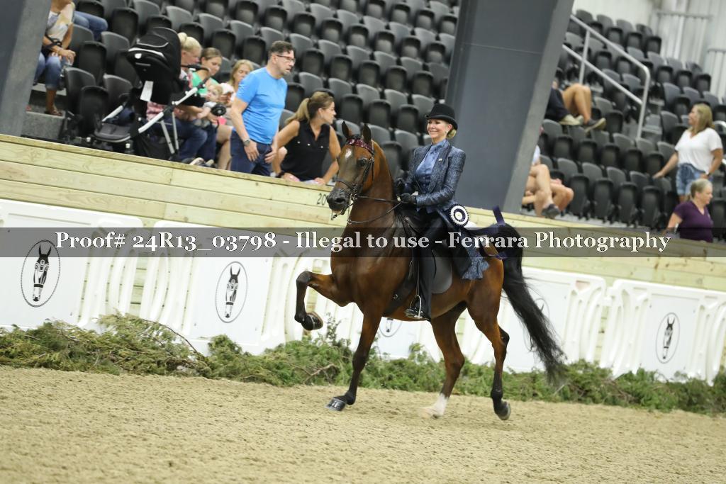 Proof Number 24R13_03798