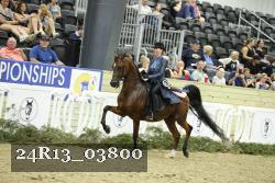 24R13_03800 thumbnail