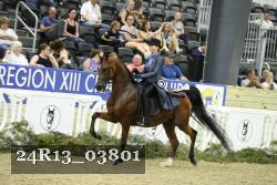 24R13_03801 thumbnail
