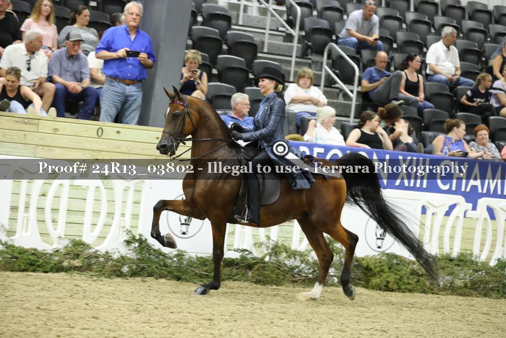 Proof Number 24R13_03802