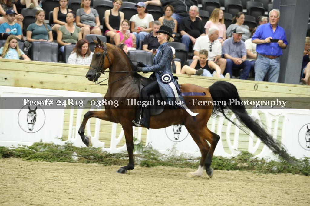 Proof Number 24R13_03803